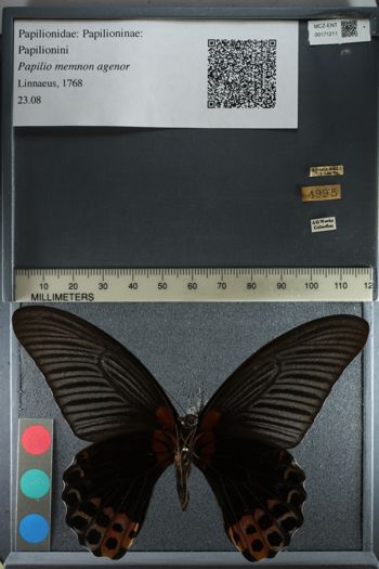 Media type: image;   Entomology 171211